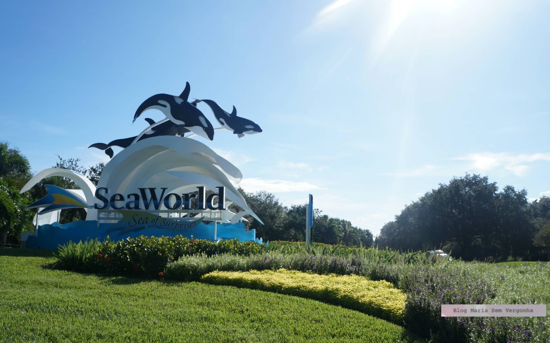 Minha primeira visita ao Sea World em Orlando, Nos EUA