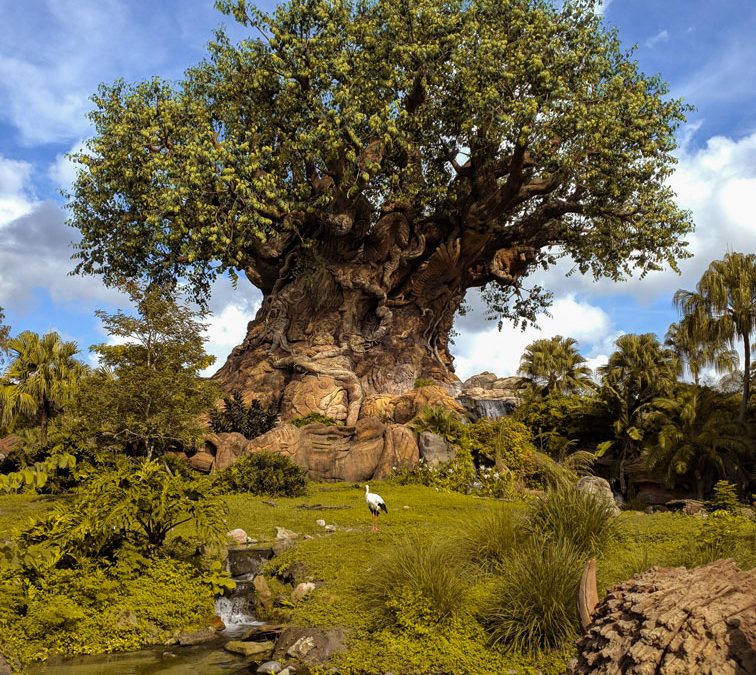 Animal Kingdom da Disney em Orlando: dicas e roteiro completo do nosso dia