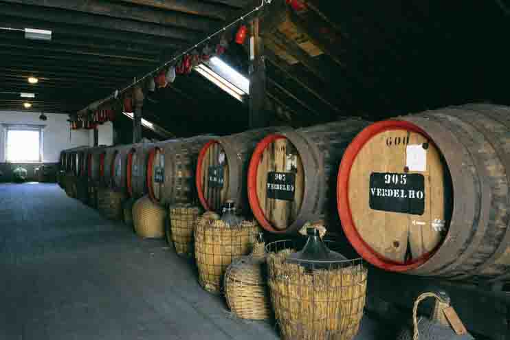 Voyajando Gastronomia: a história do Vinho Madeira