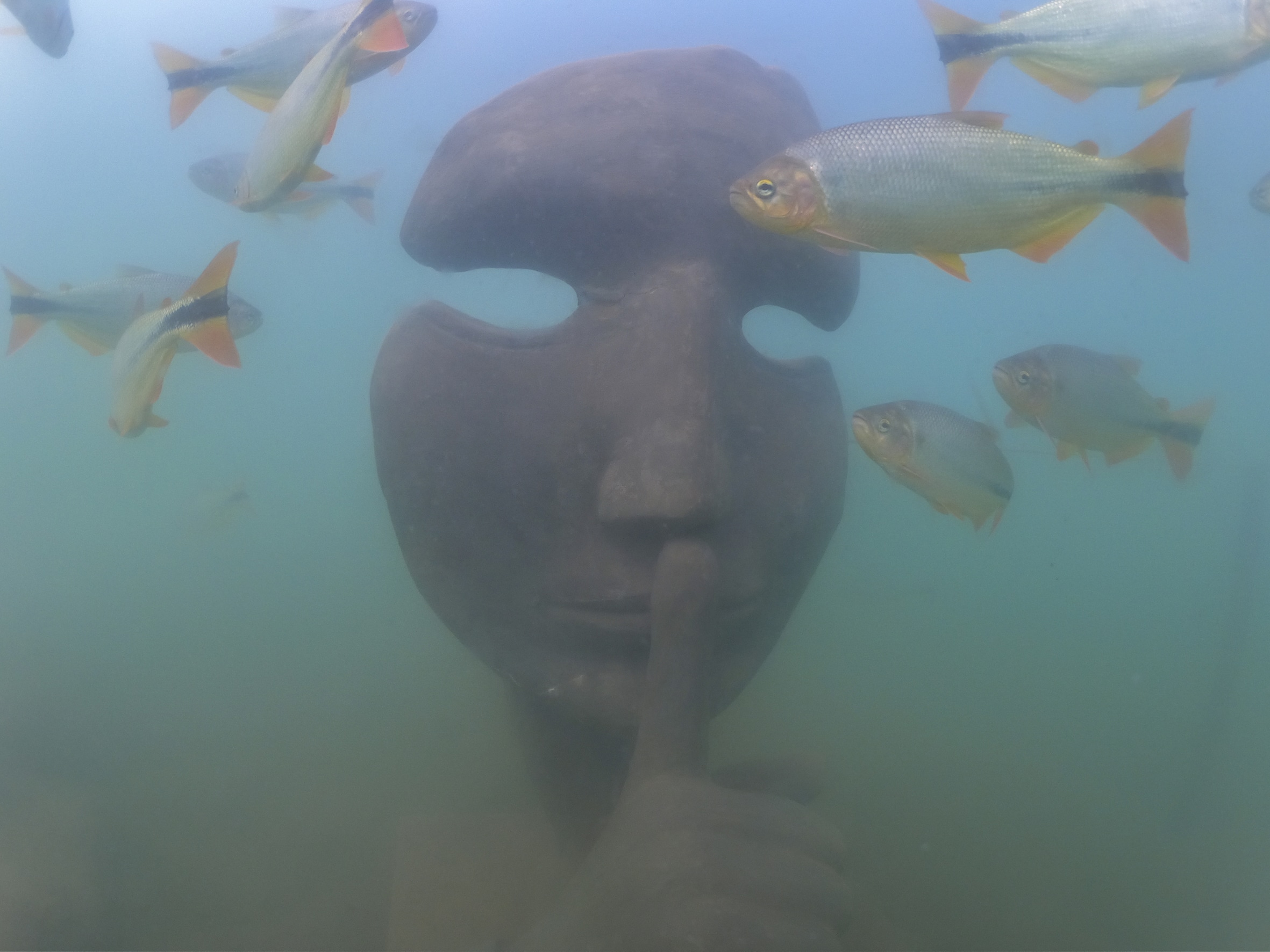 Bonito ganha Museu Subaquático, único no mundo em água doce