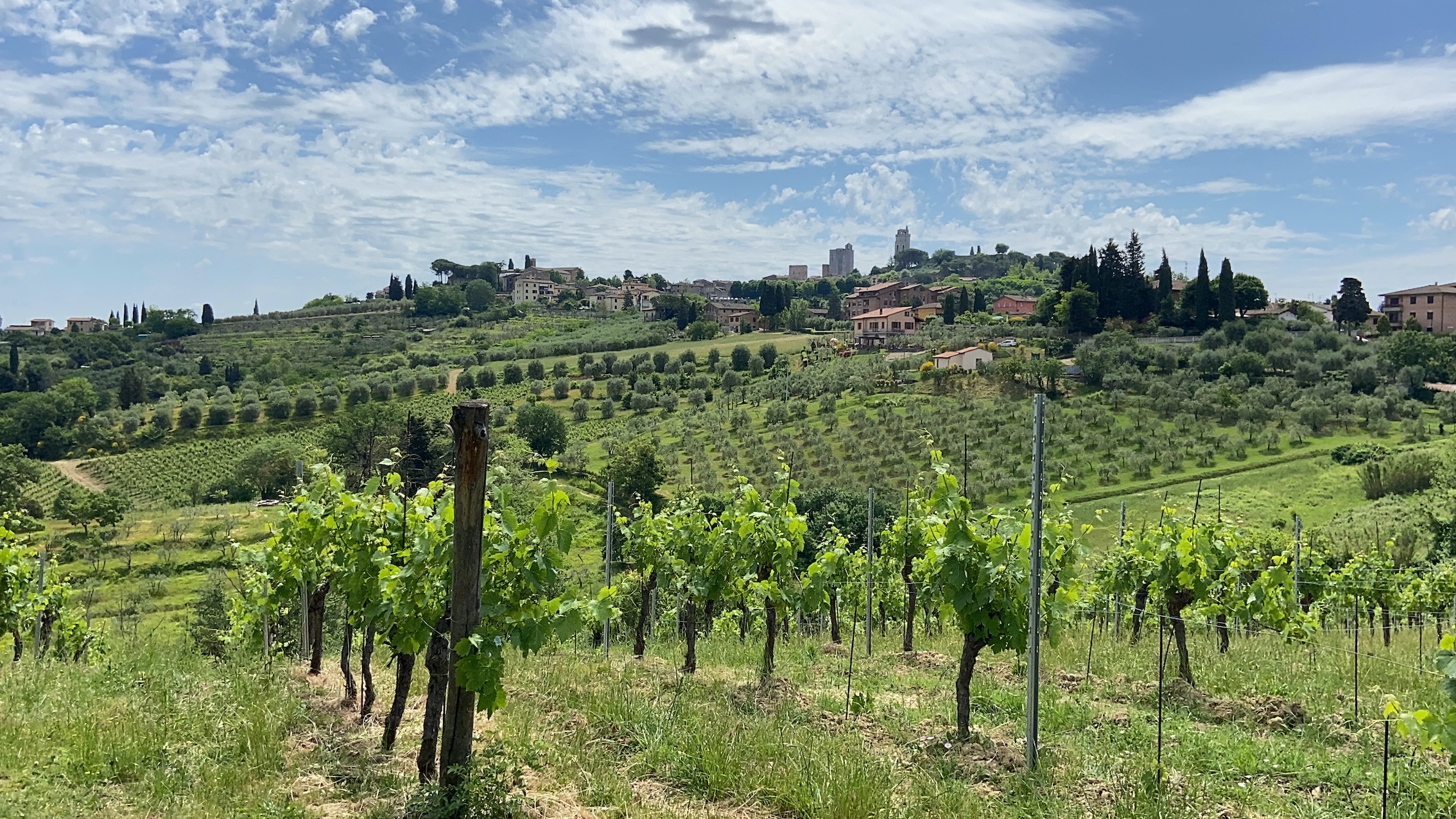 Viagem de carro pela Toscana: um fim de semana em San Gimignano e Volterra