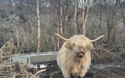 Roteiro Inverness e Highlands: o que fazer nas Terras Altas da Escócia?