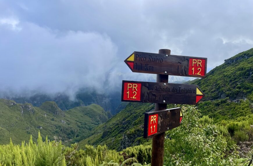 6 dias na Ilha da Madeira: o que fazer, onde se hospedar e o que comer na Pérola do Atlântico