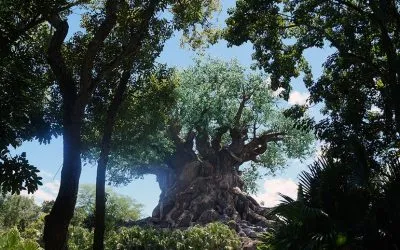 Safari e Turkey Leg: Dia de Animal Kingdom!