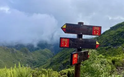 6 dias na Ilha da Madeira: o que fazer, onde se hospedar e o que comer na Pérola do Atlântico